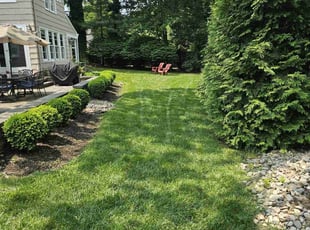 Jean C.'s turf care service result