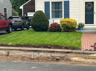 Mike G.'s grass maintenance service result