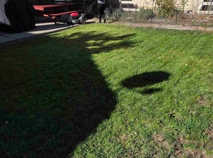 Arthur S.'s turf care service result