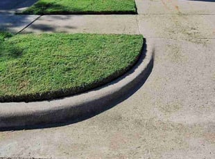 Claire R.'s lawn care service result