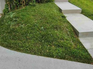 Nayoun L.'s grass maintenance service result