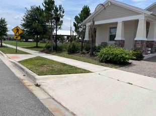 Meg S.'s grass maintenance service result