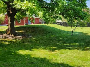 Sharlene W.'s lawn care services service result