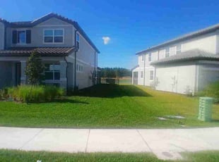 John P.'s turf care service result