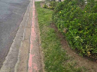 Rachael F.'s Garden Maintenance service result