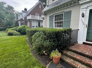 Tadd G.'s Bush Trimming service result