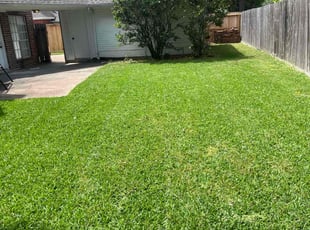Isabella M.'s lawn maintenance service result
