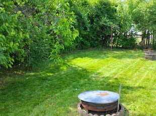 Benjamin W.'s Long Grass Cleanup service result