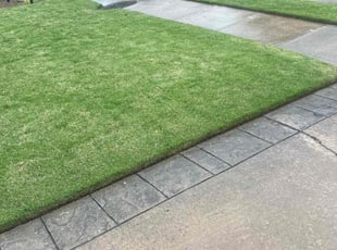 Chad S.'s turf maintenance service result