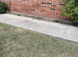 Peter B.'s grass cutting service result