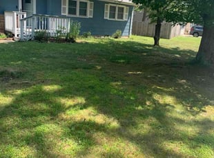 Ashley B.'s turf maintenance service result