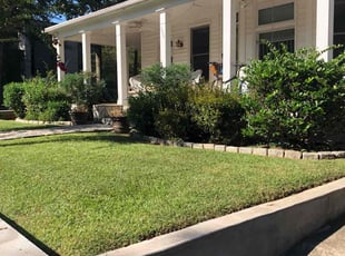 Jammie S.'s lawn care service result