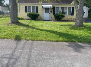 Meaghan K.'s turf care service result