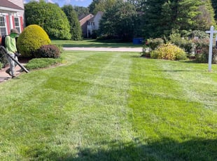 Michelle R.'s lawn service service result