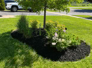 Joy M.'s Mulching service result