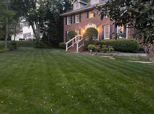Fred B.'s turf maintenance service result