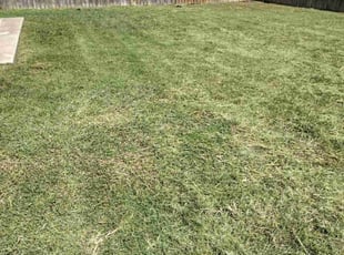 Joe S.'s turf maintenance service result