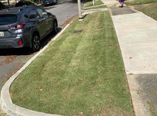 Cathy B.'s lawn maintenance service result