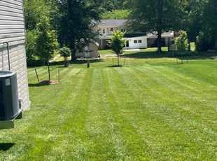 Sheikh R.'s lawn care services service result