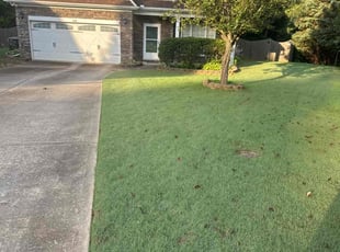 Dwayne J.'s lawn care services service result