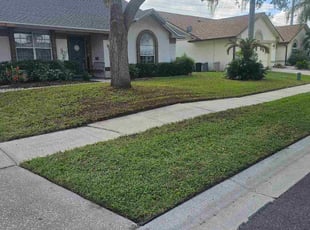 Heather D.'s grass cutting service result