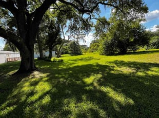 Patresa T.'s lawn service service result