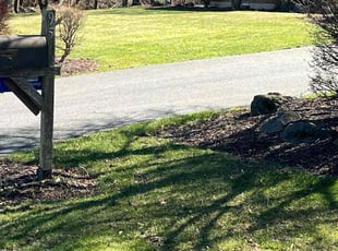 Theresa R.'s lawn care services service result