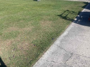 C L R.'s grass maintenance service result