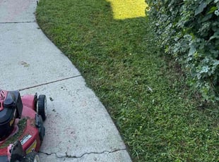 Edward M.'s grass cutting service result
