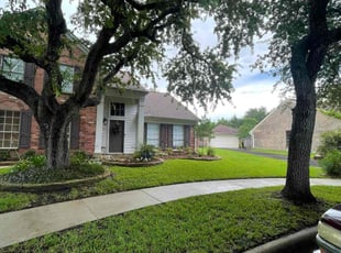 Trish G.'s lawn maintenance service result