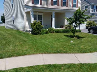 Lisa B.'s lawn service service result