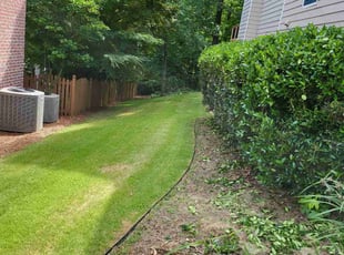 Robert S.'s lawn service service result