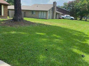 Steve M.'s turf care service result