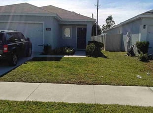 Steve M.'s turf care service result