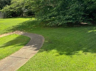 Gray M.'s turf care service result