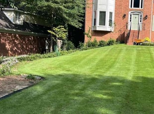 Kelly D.'s lawn care service result