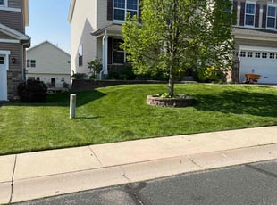 Sreenivas S.'s yard service service result