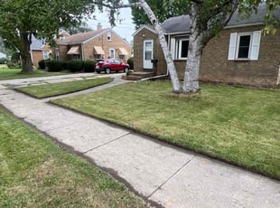 Nicholas W.'s grass maintenance service result