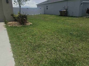 Taylor S.'s turf care service result