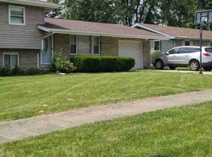 Jacqueline M.'s turf care service result