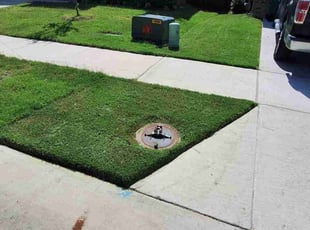 Mike A.'s grass cutting service result