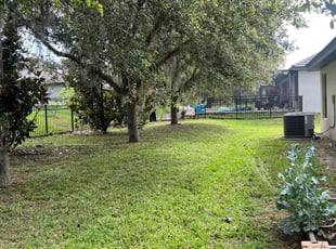 Leisa N.'s grass cutting service result