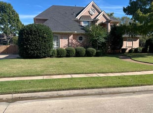 Ray S.'s turf care service result