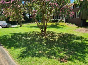 Anthony H.'s lawn care service result