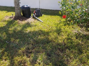 Melinda W.'s Bush Trimming service result