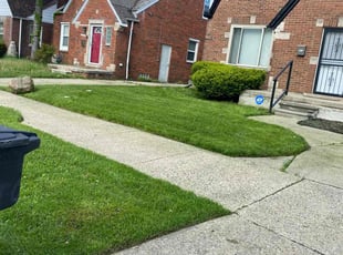 Florus W.'s grass cutting service result