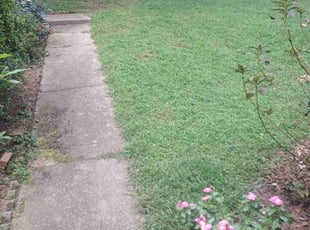 Joshua R.'s lawn care services service result