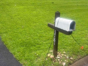 Amanda L.'s lawn service service result