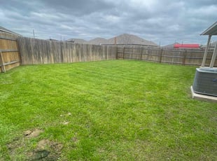 Tina C.'s turf maintenance service result