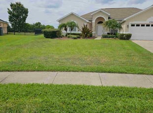 Dumy B.'s lawn care service result